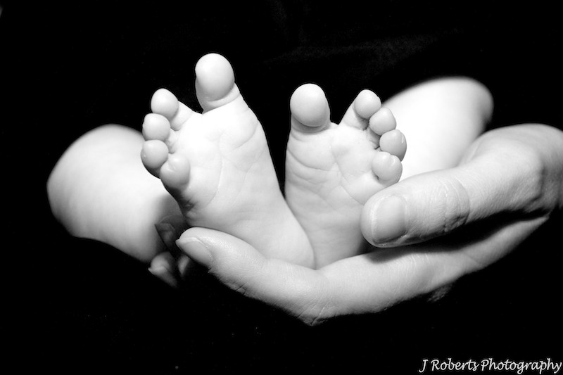 Newborn Baby feet - baby portrait photography sydney